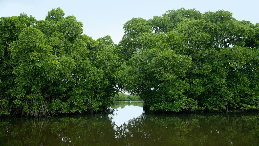 Valanthakad Island image 